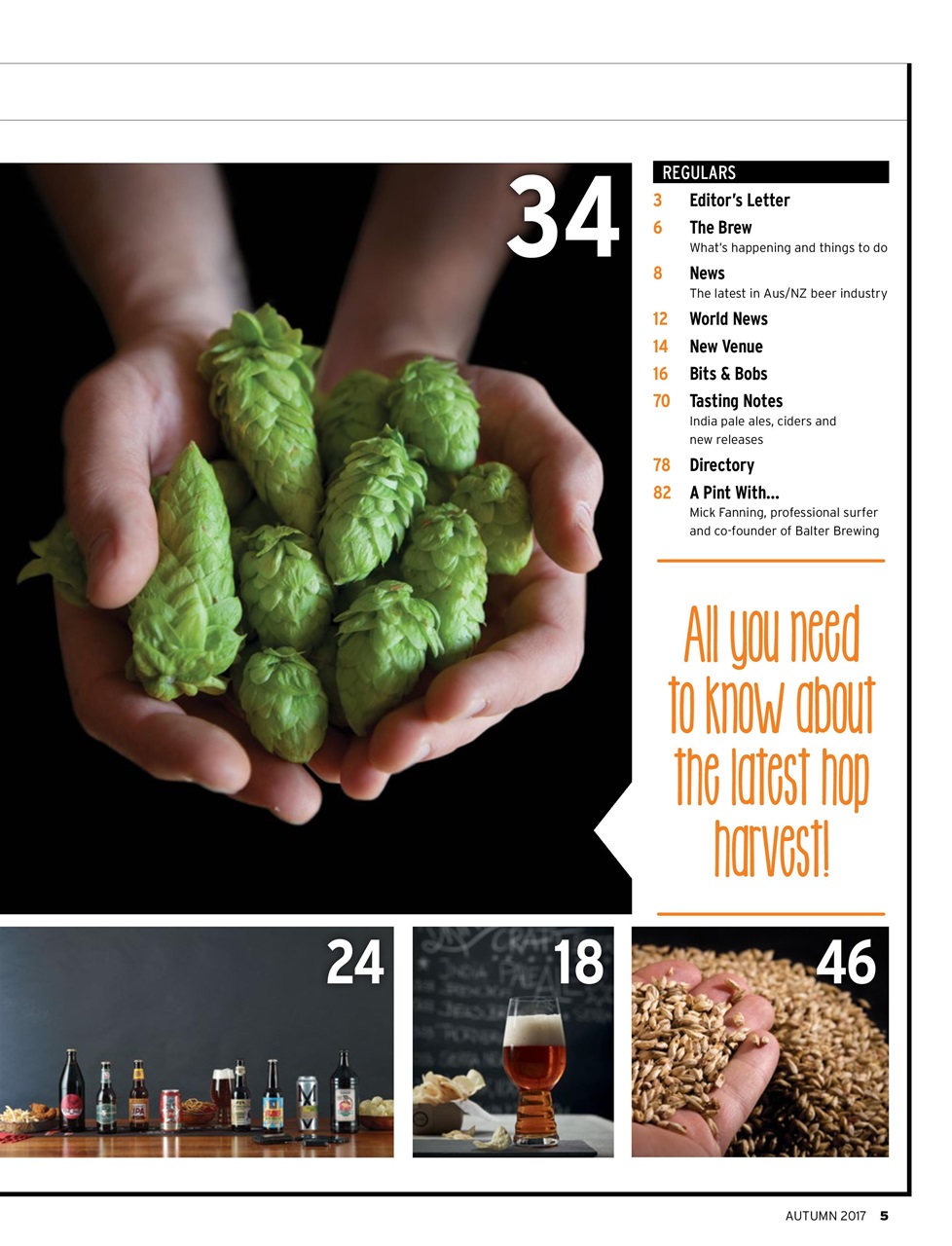 Beer and Brewer Preview Pages