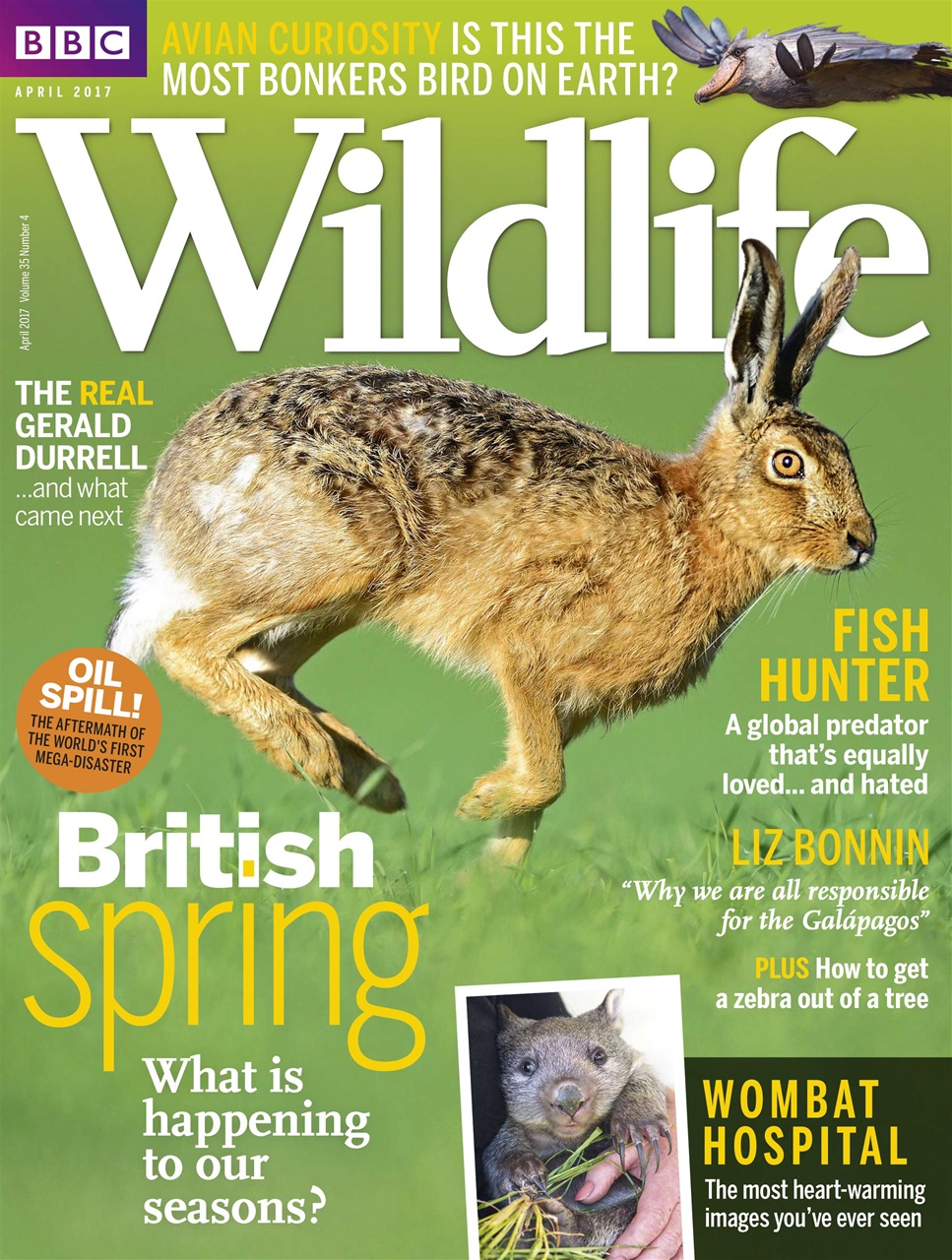 BBC Wildlife Magazine Preview Pages