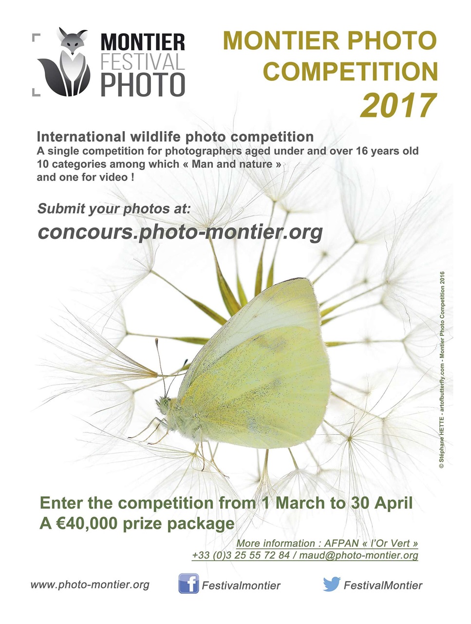 BBC Wildlife Magazine Preview Pages