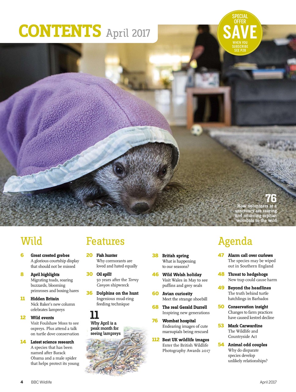 BBC Wildlife Magazine Preview Pages