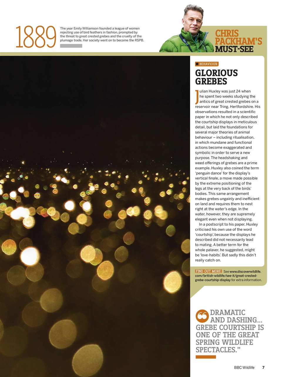 BBC Wildlife Magazine Preview Pages