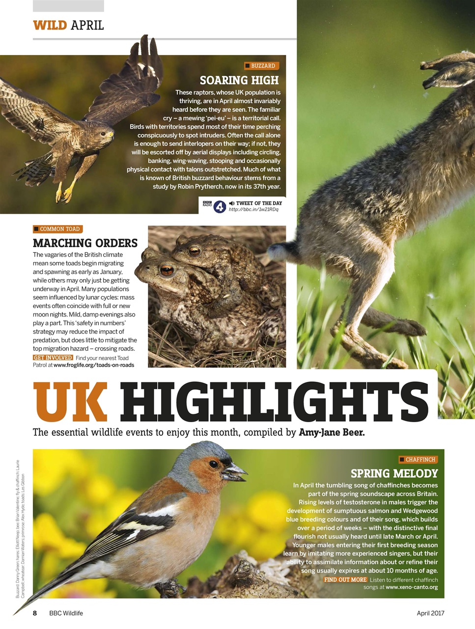 BBC Wildlife Magazine Preview Pages