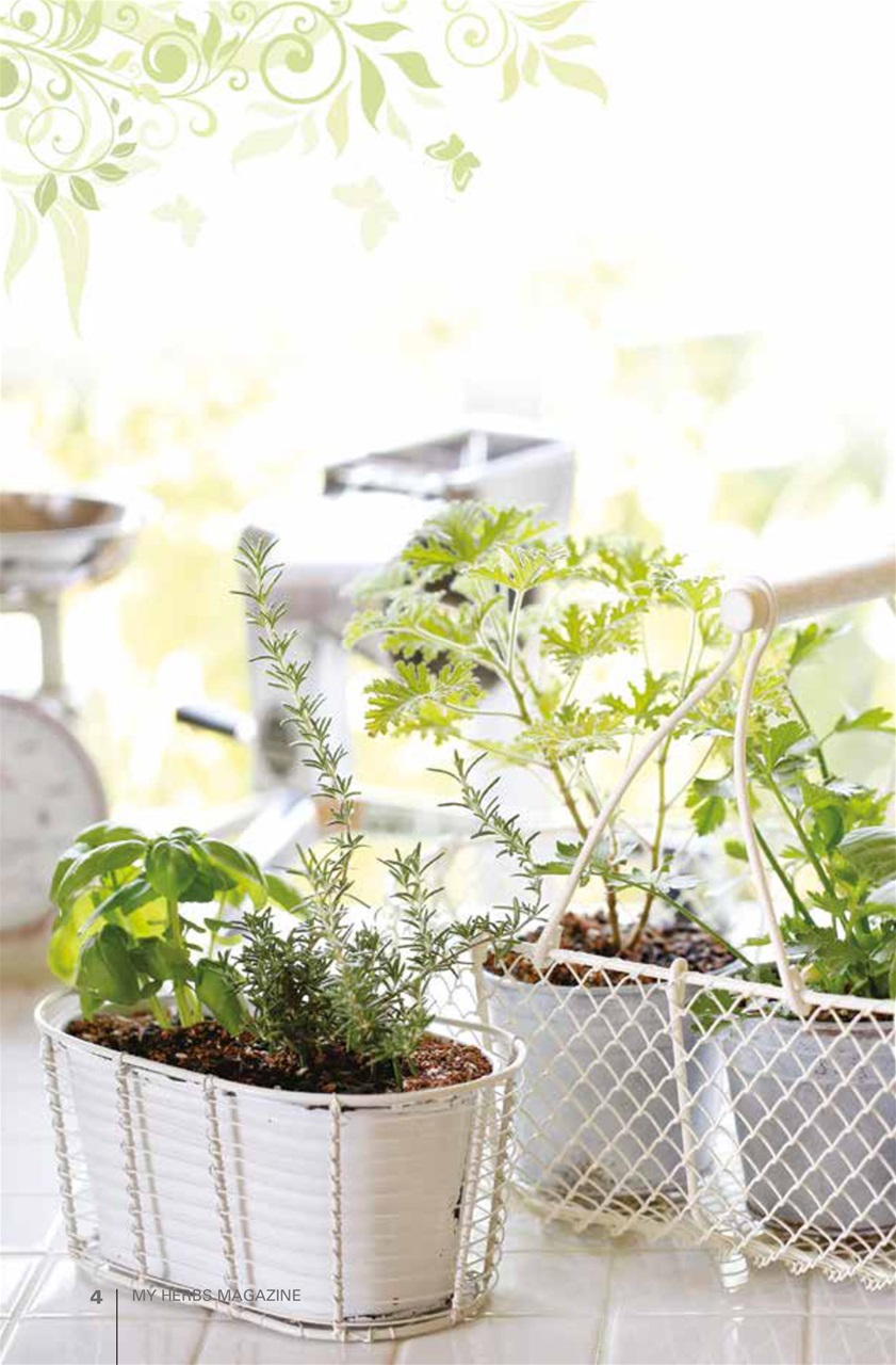My Herbs Magazine Preview Pages