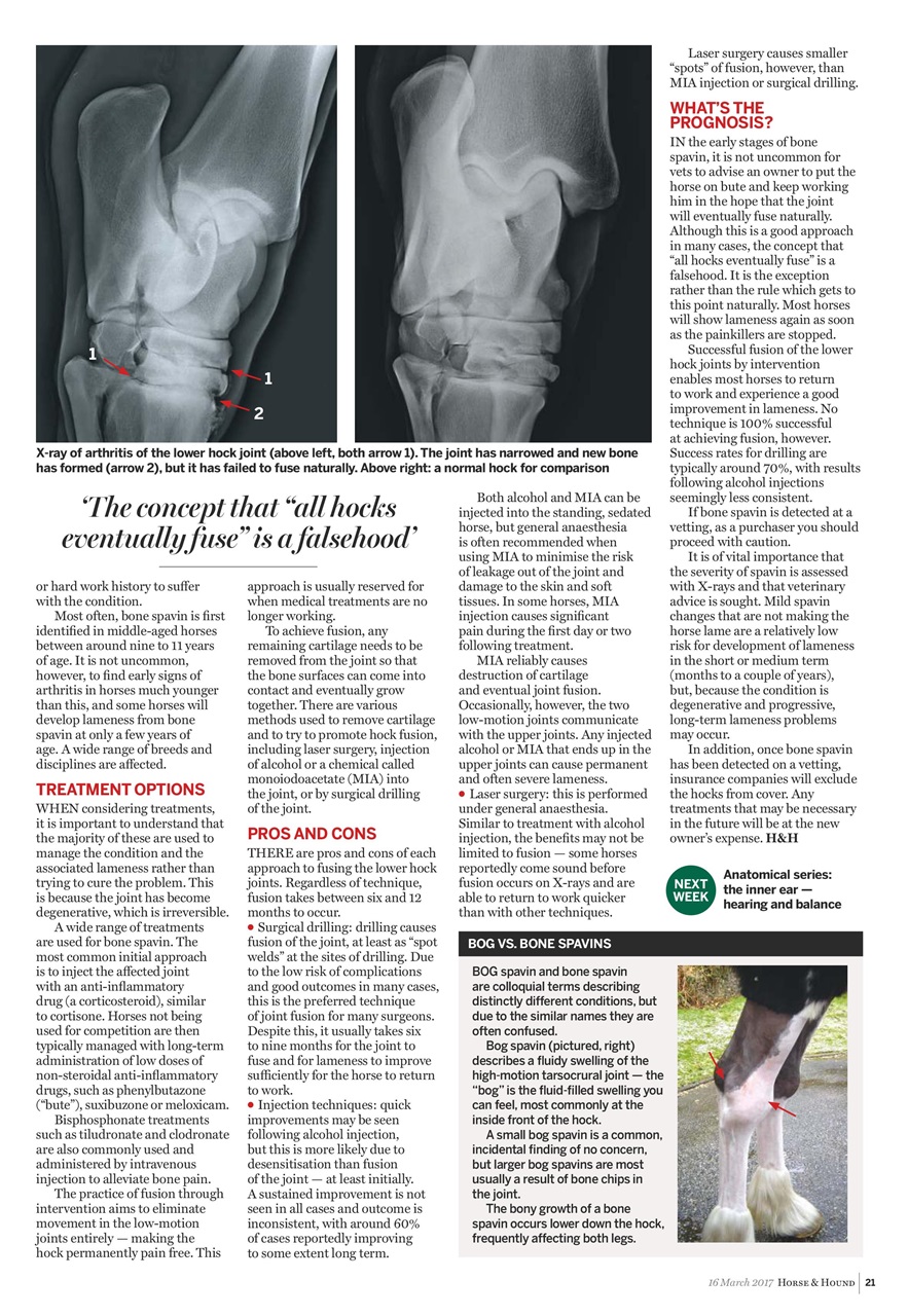 Horse & Hound Preview Pages