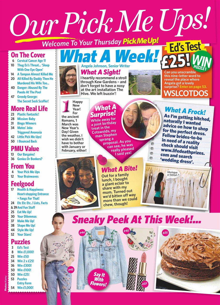 Pick Me Up Preview Pages