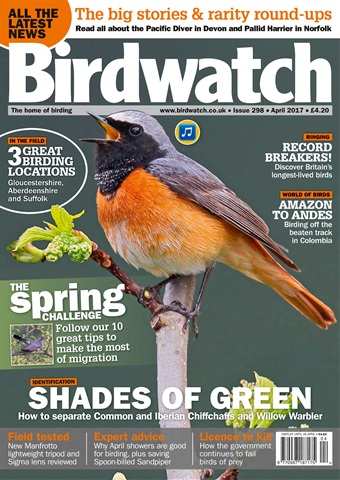 Birdwatch Magazine issue April 2017