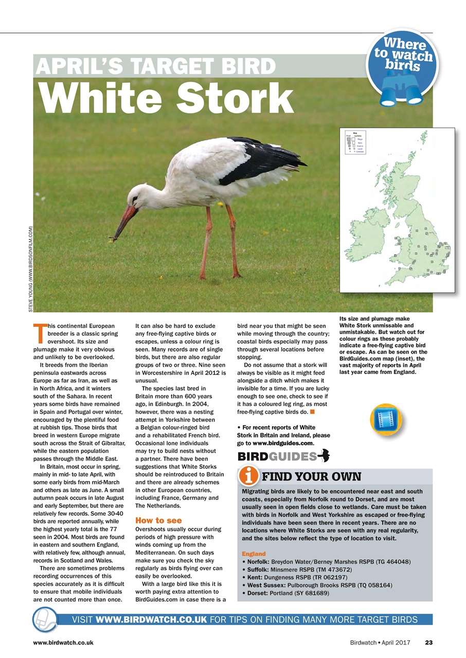 Birdwatch Magazine Preview Pages
