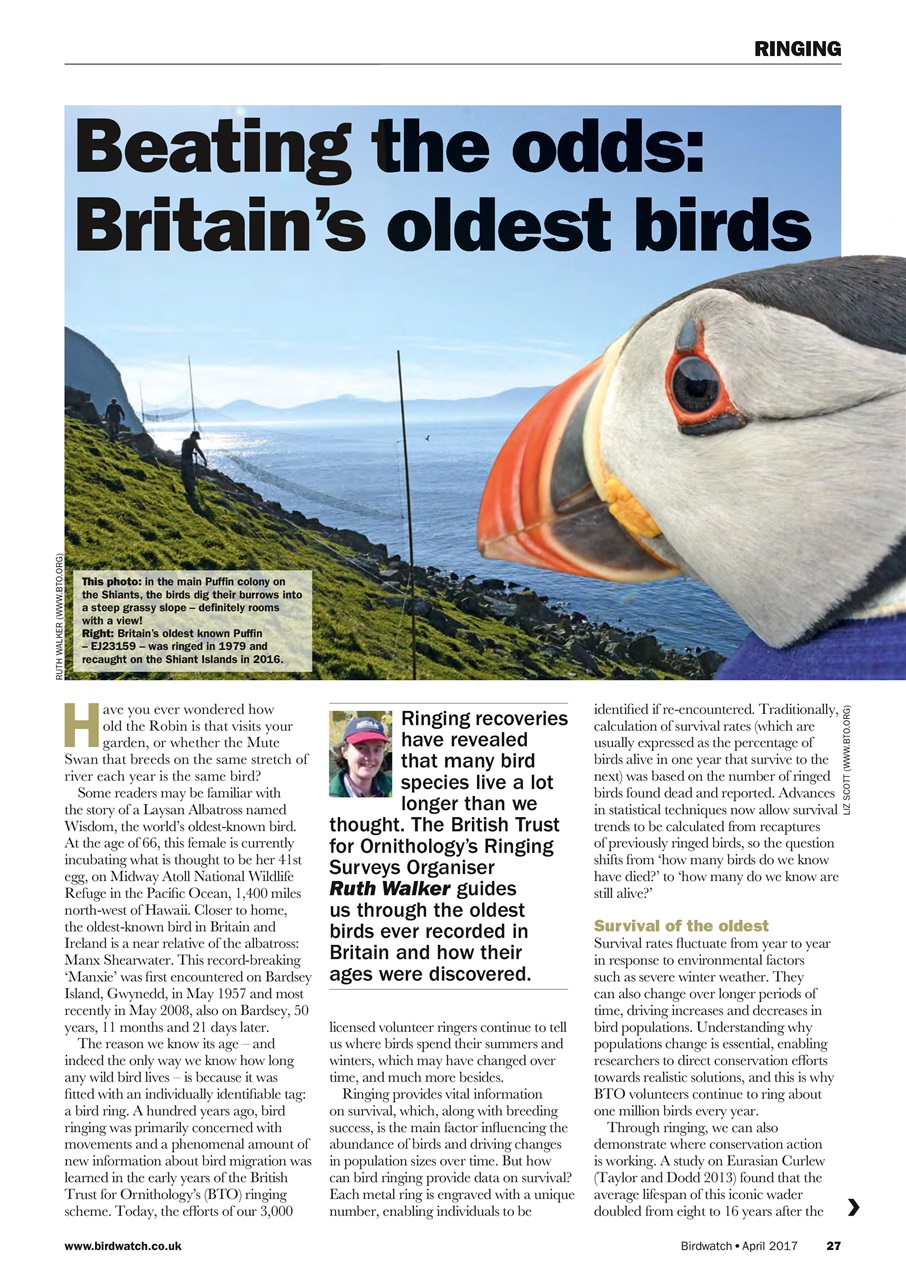 Birdwatch Magazine Preview Pages