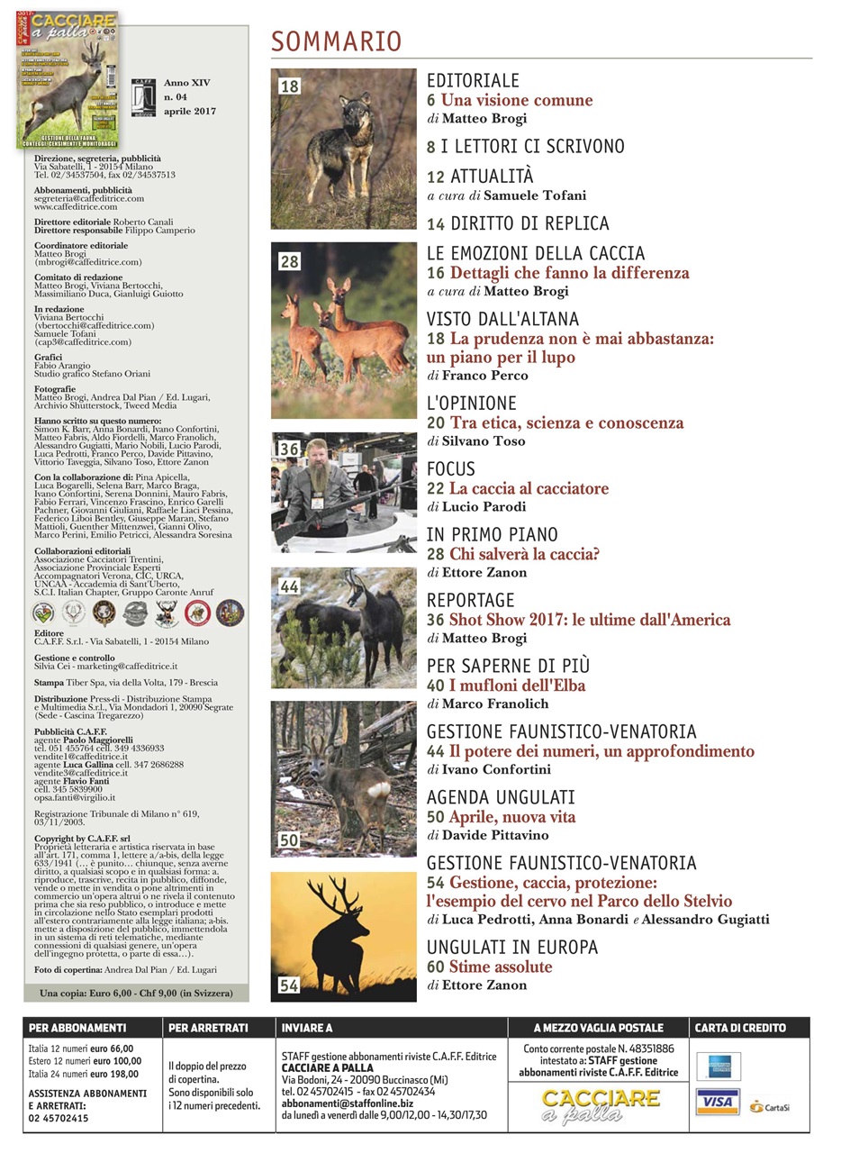 Caccia Magazine Preview Pages