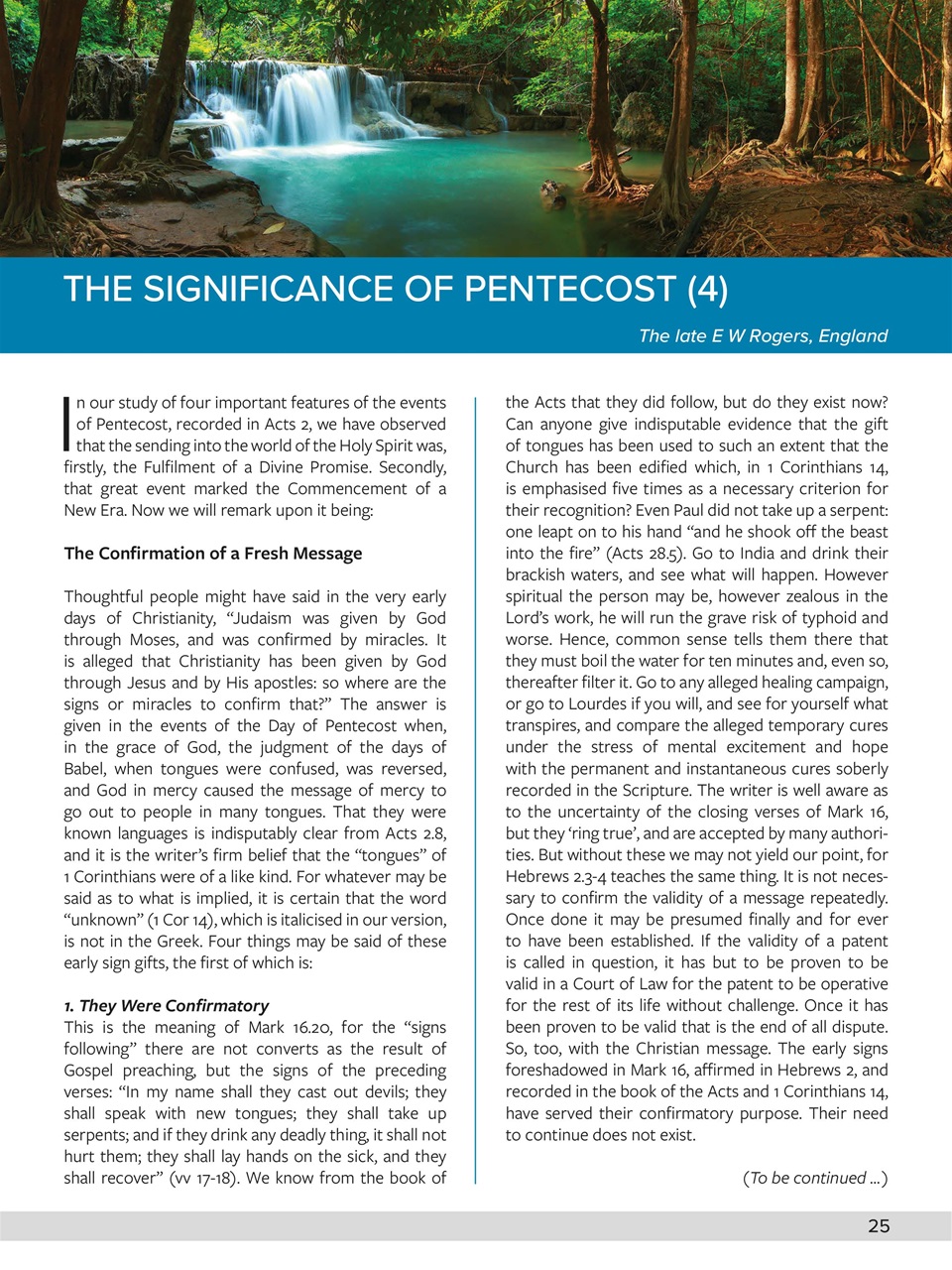 Believer Magazine Preview Pages