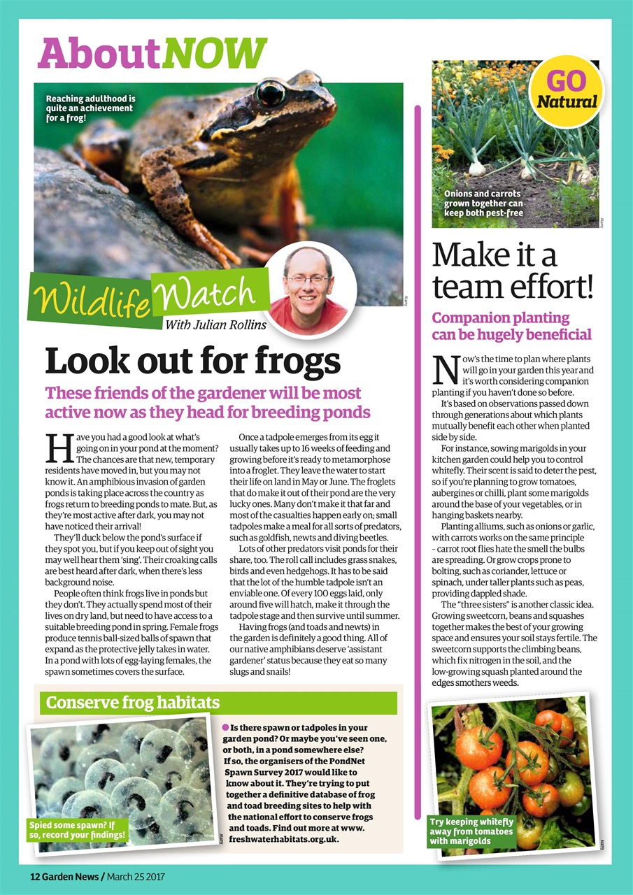 Garden News Preview Pages