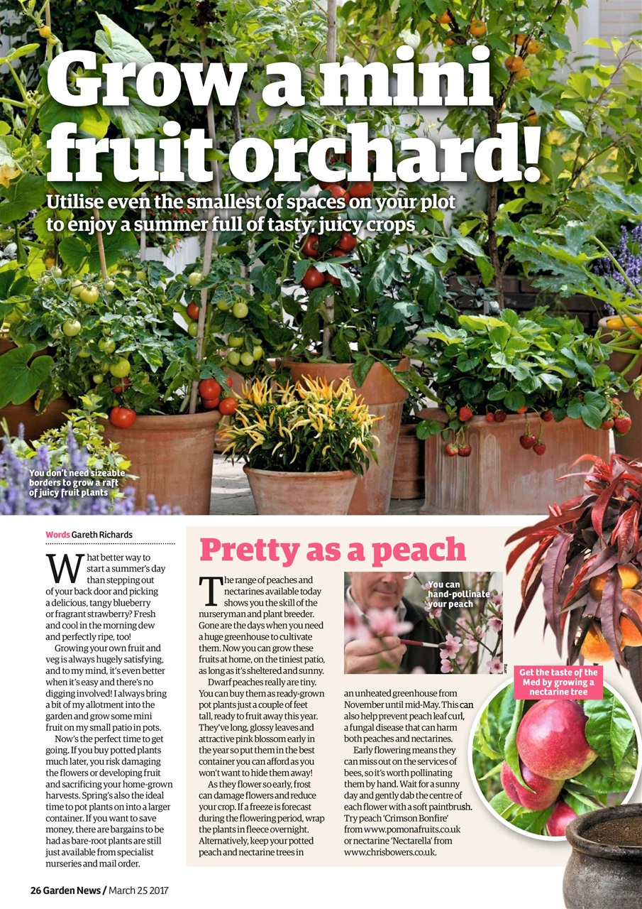 Garden News Preview Pages