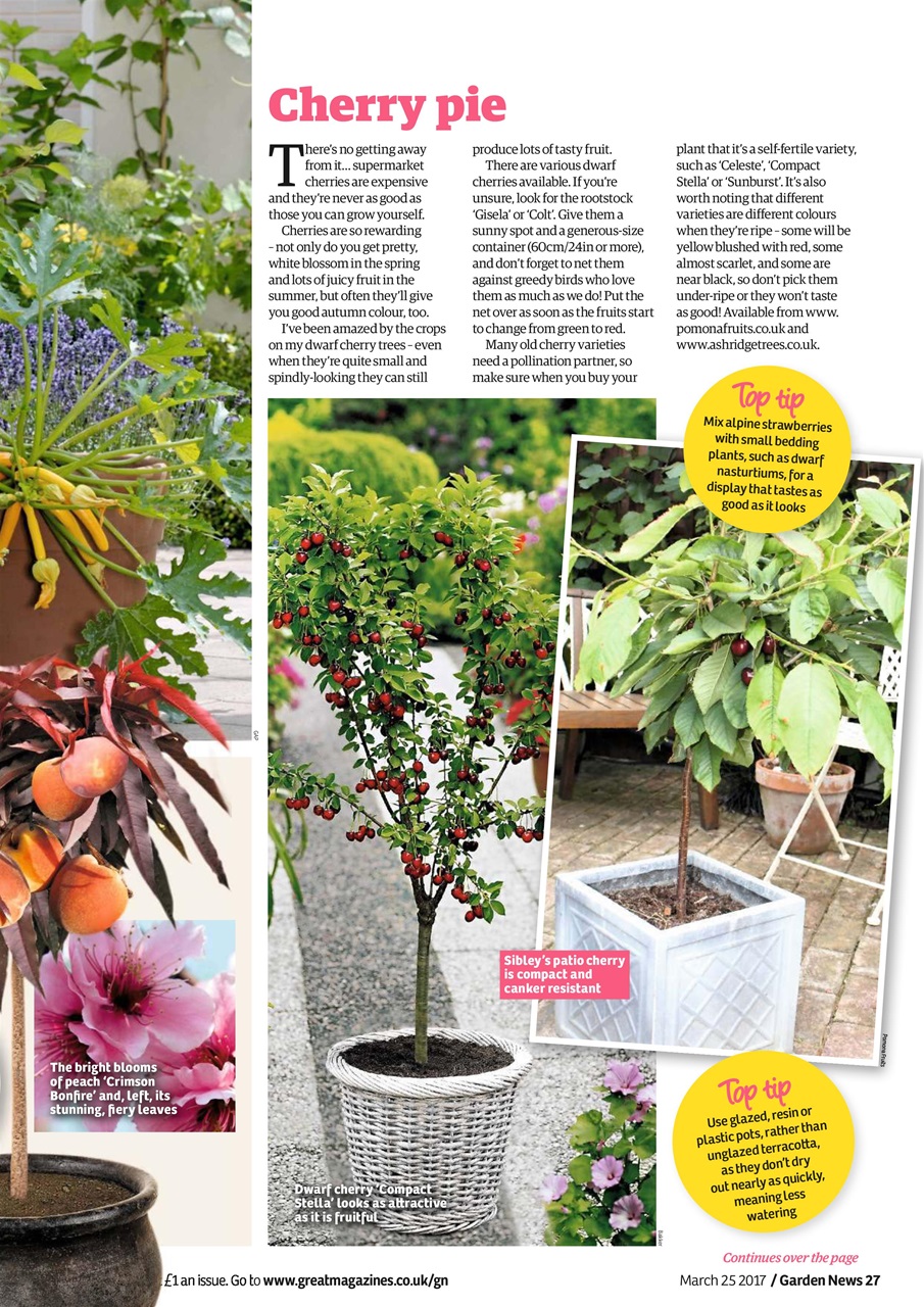 Garden News Preview Pages