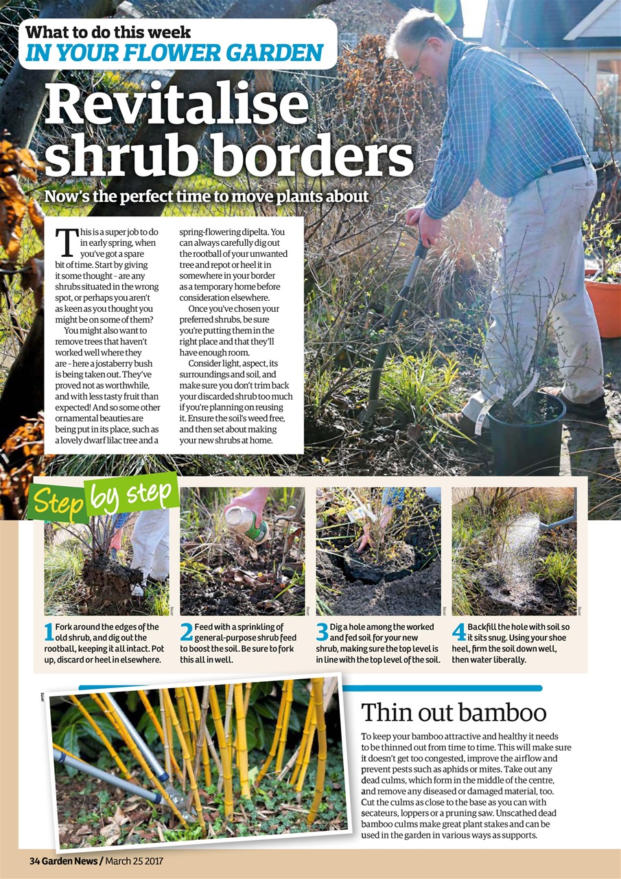Garden News Preview Pages