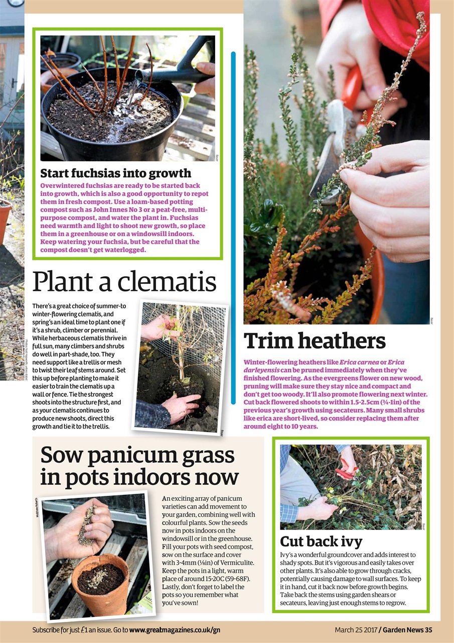 Garden News Preview Pages