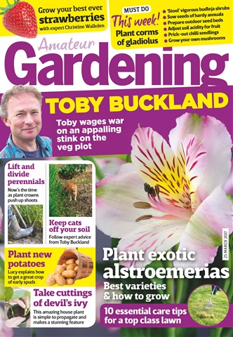 Amateur Gardening issue 25th March 2017