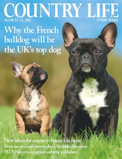 Country Life issue 