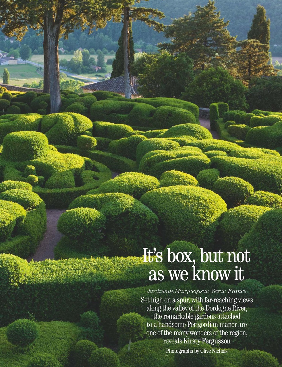 Country Life Preview Pages