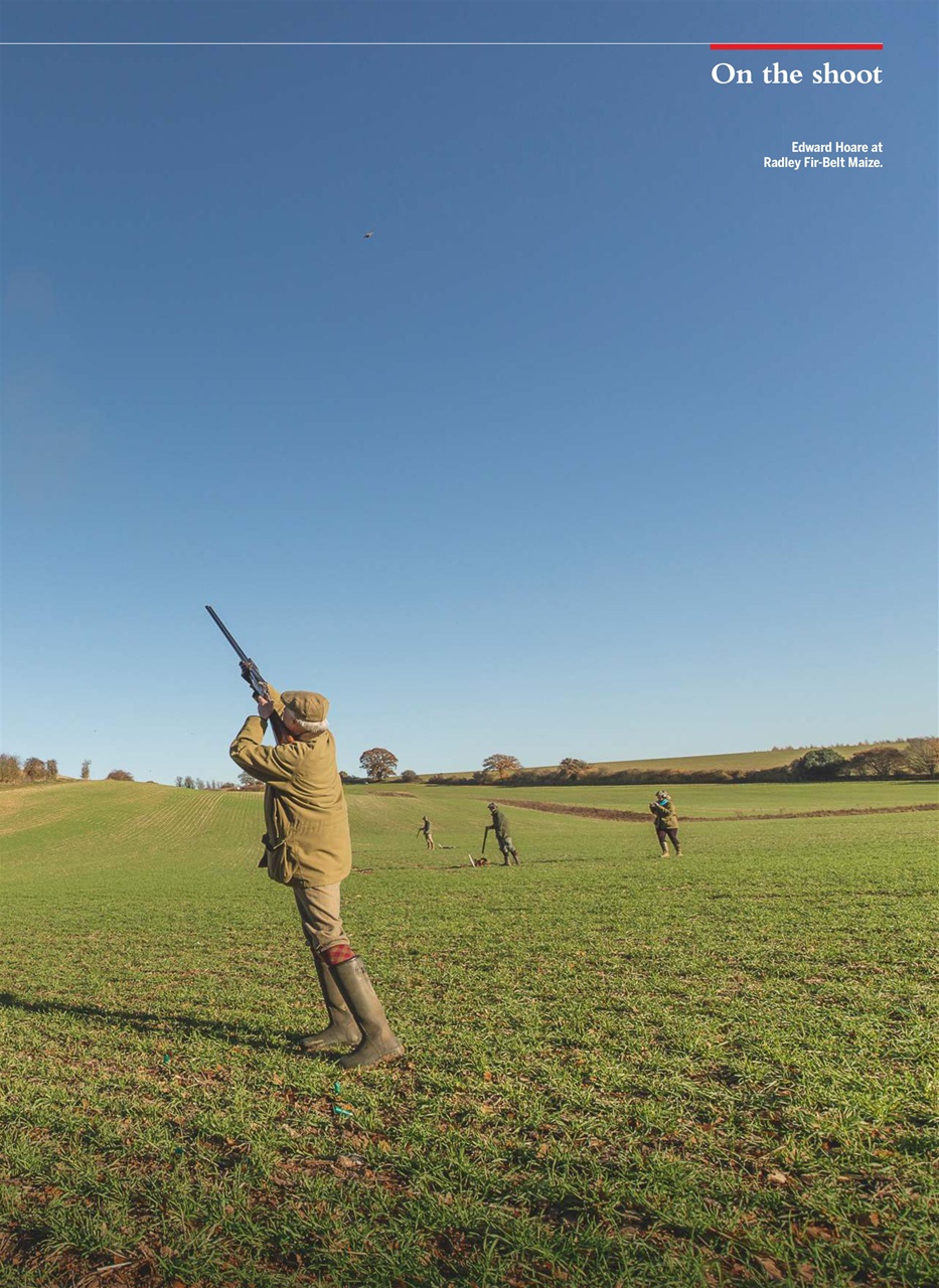 Shooting Gazette Preview Pages