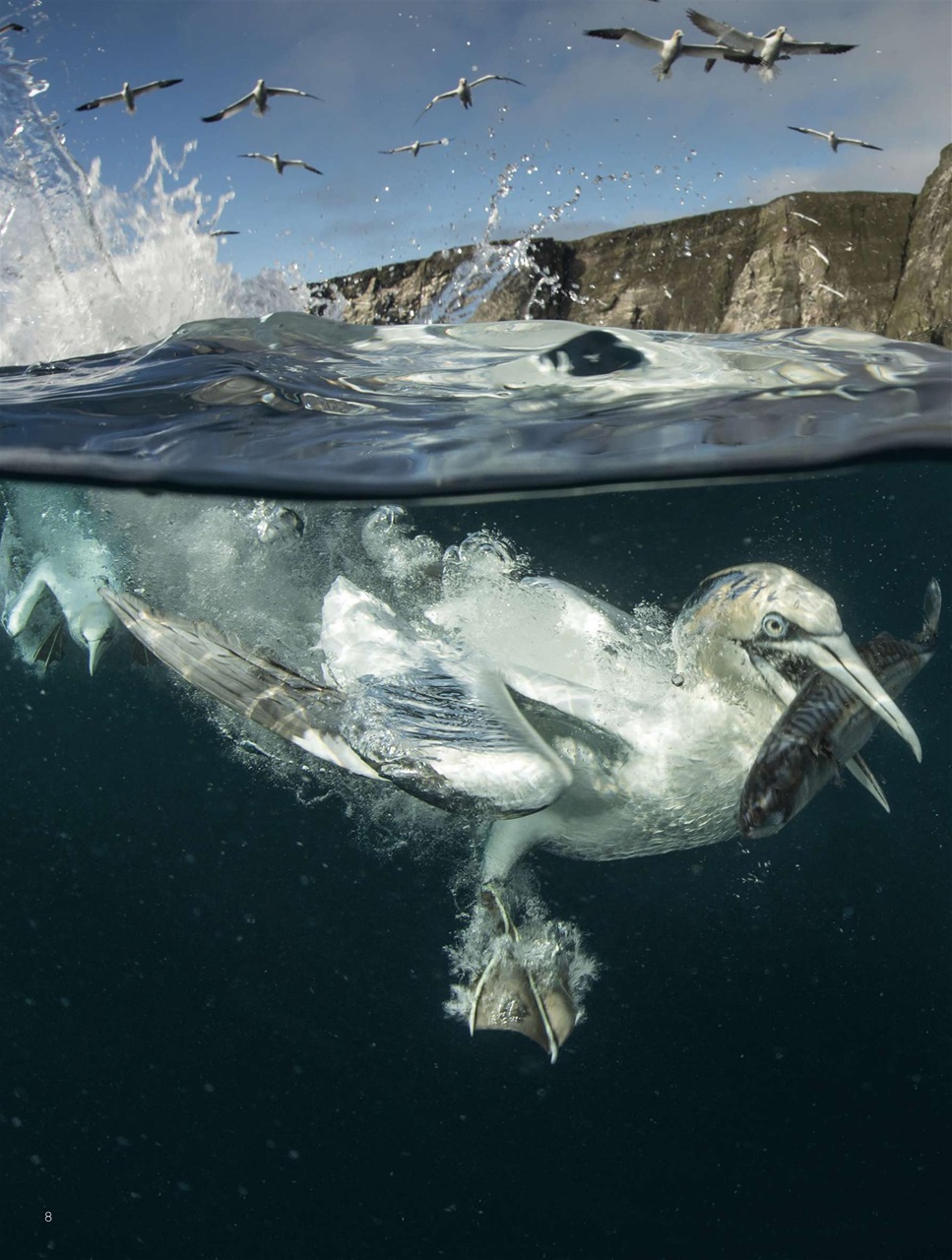 BBC Science Focus Magazine Preview Pages