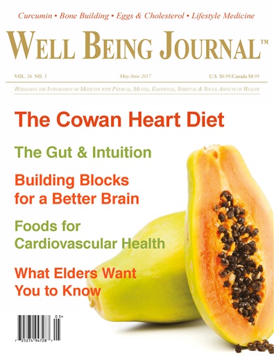Well Being Journal issue 