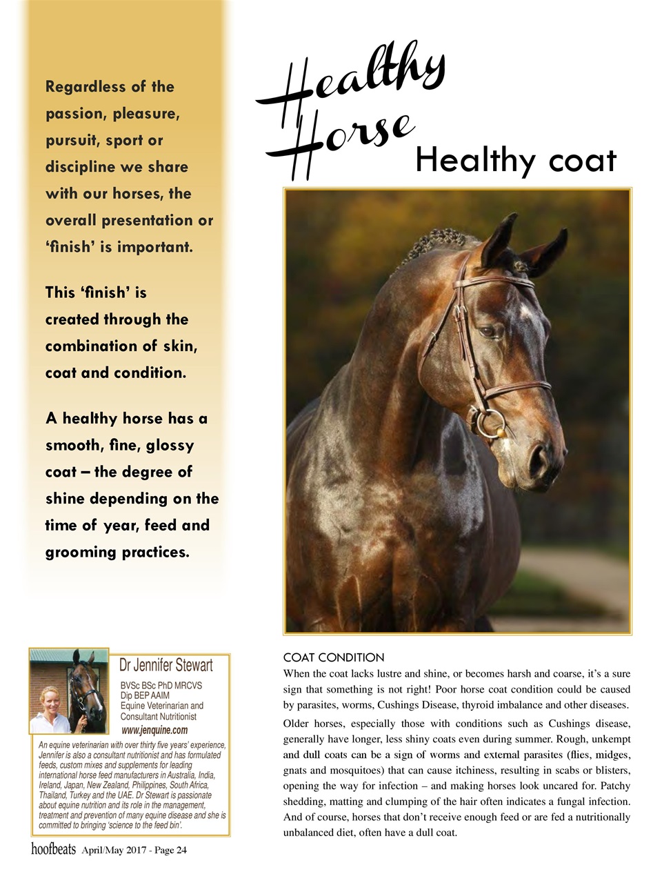 Hoofbeats Preview Pages