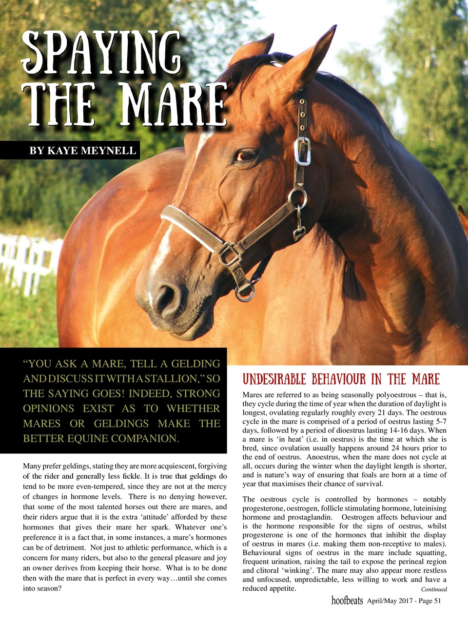 Hoofbeats Preview Pages