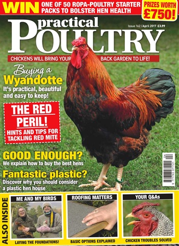 Practical Poultry issue No. 162 The Red Peril! 