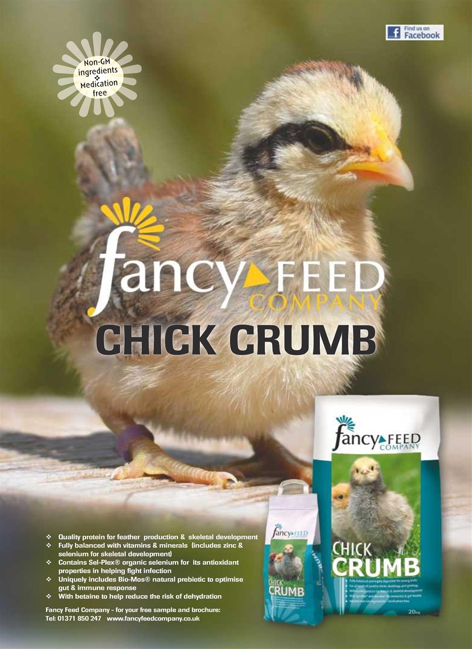 Practical Poultry Preview Pages