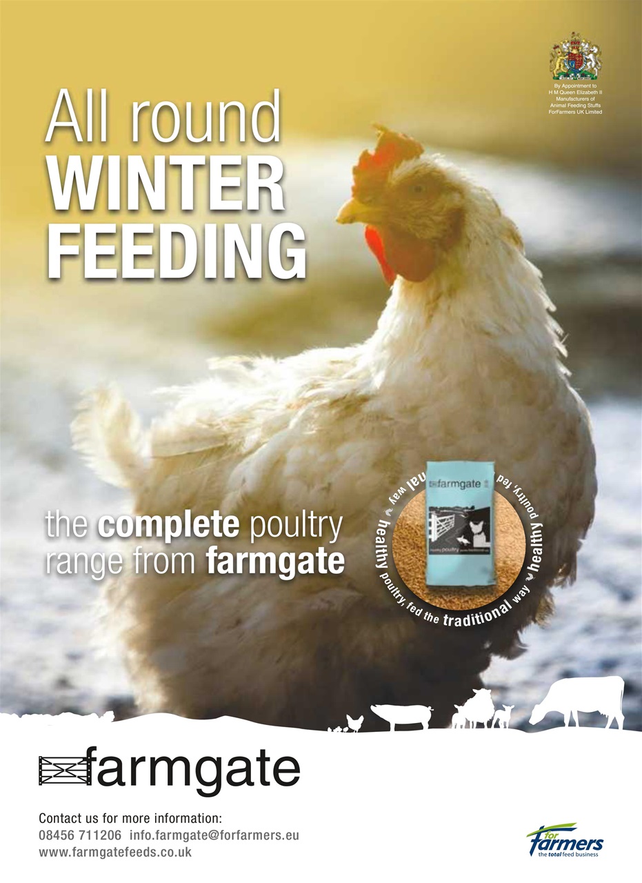 Practical Poultry Preview Pages