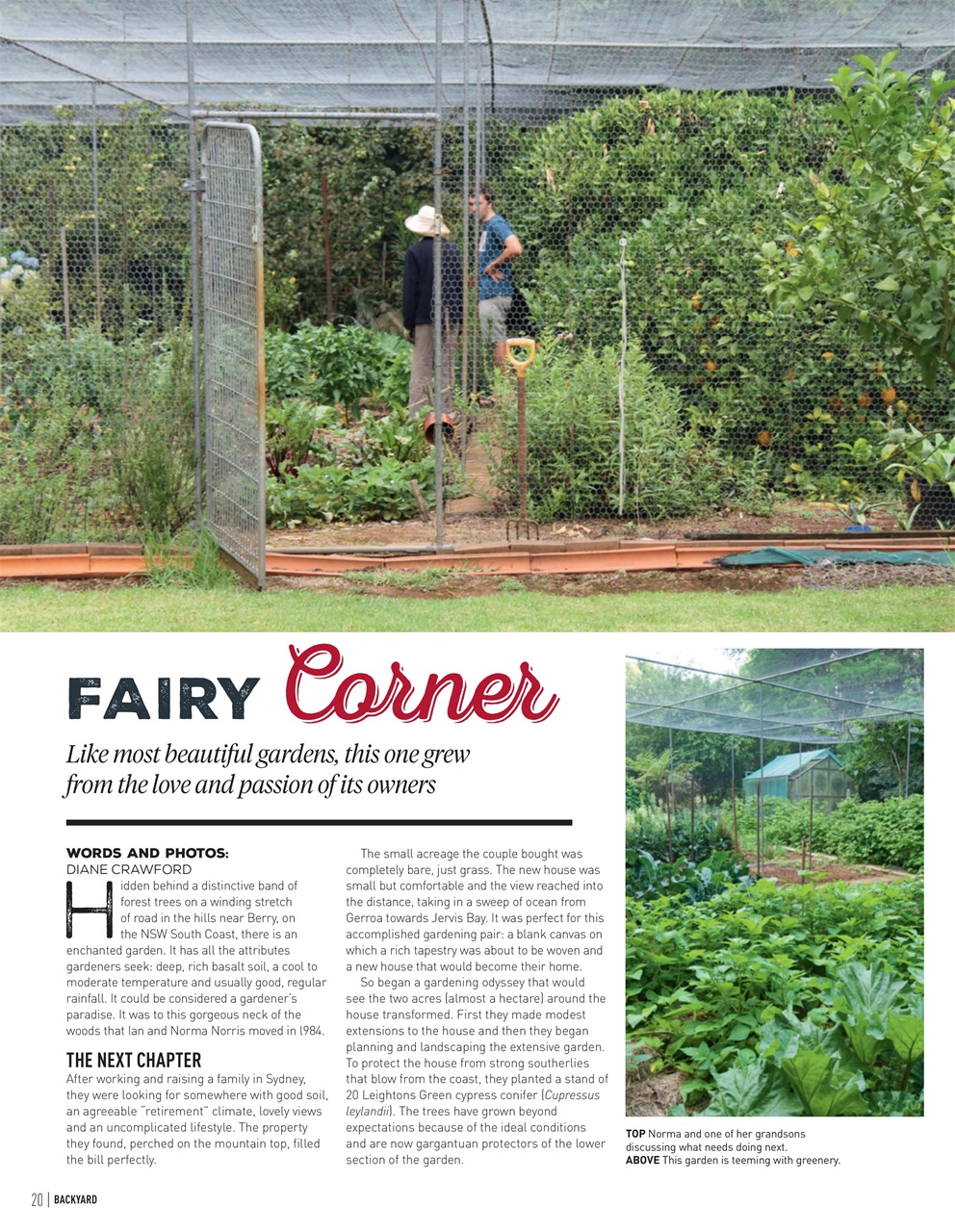 Backyard & Outdoor Living Preview Pages