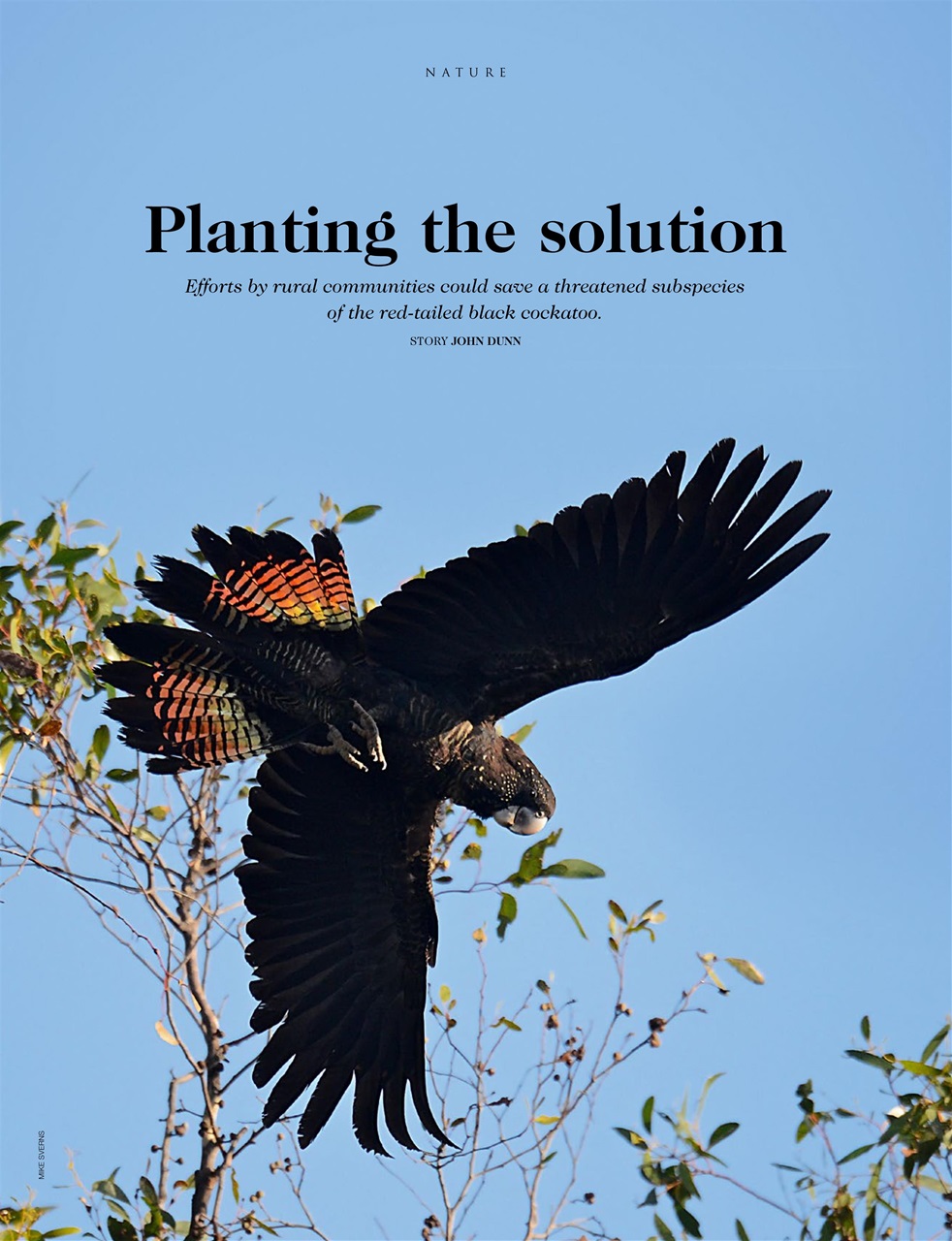 OUTBACK Magazine Preview Pages