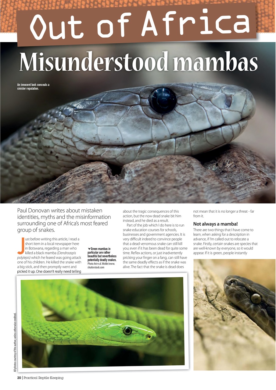 Practical Reptile Keeping Preview Pages