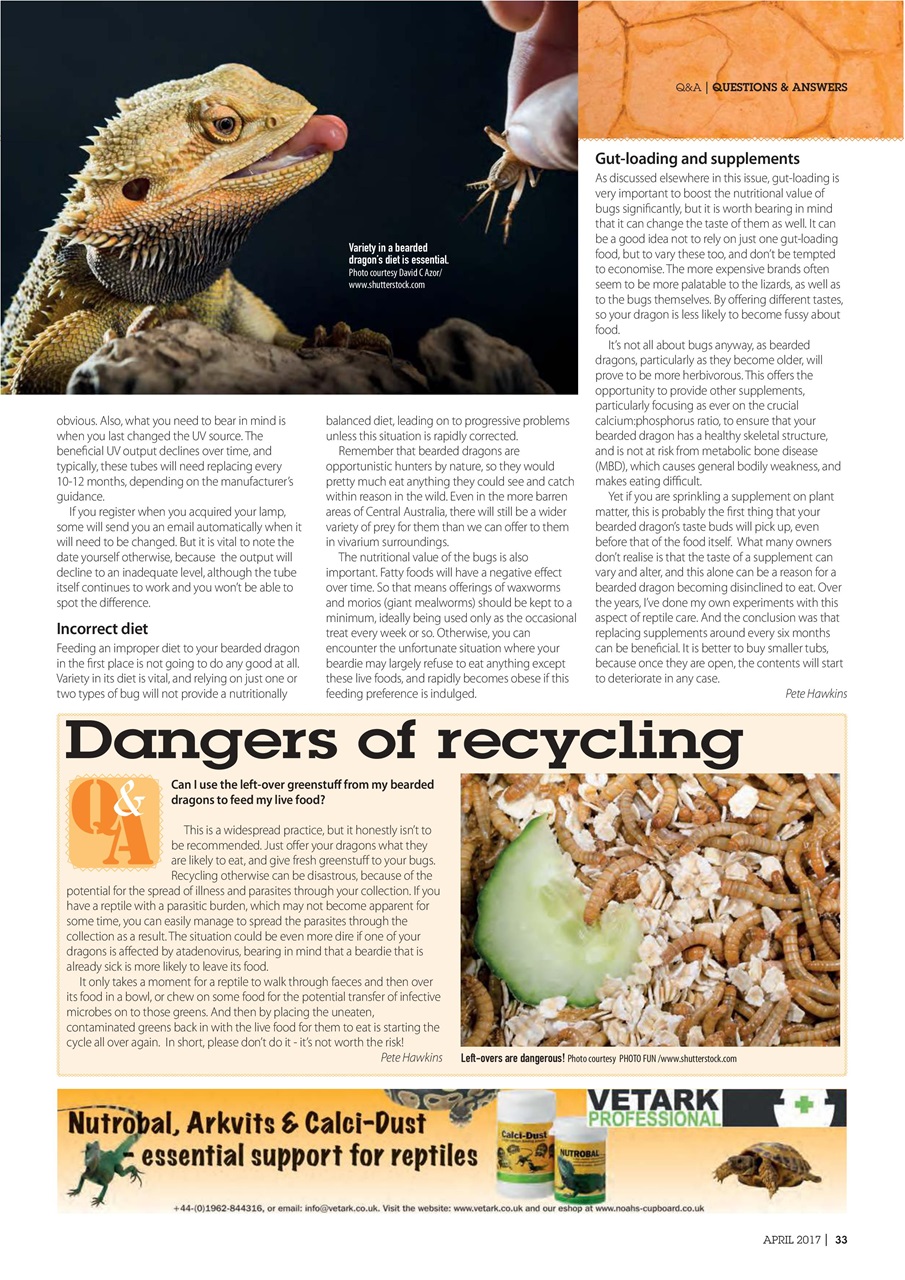 Practical Reptile Keeping Preview Pages