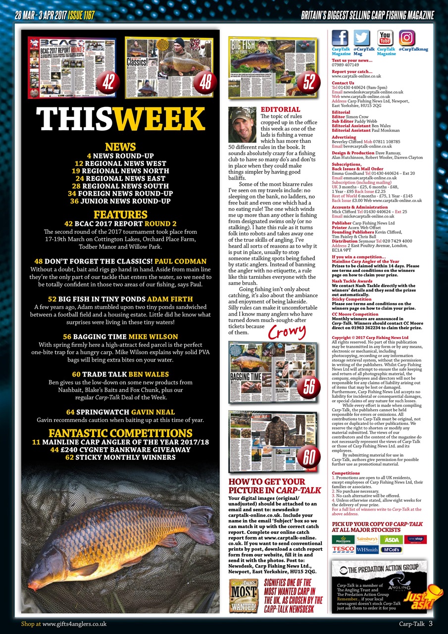 Carp-Talk Preview Pages