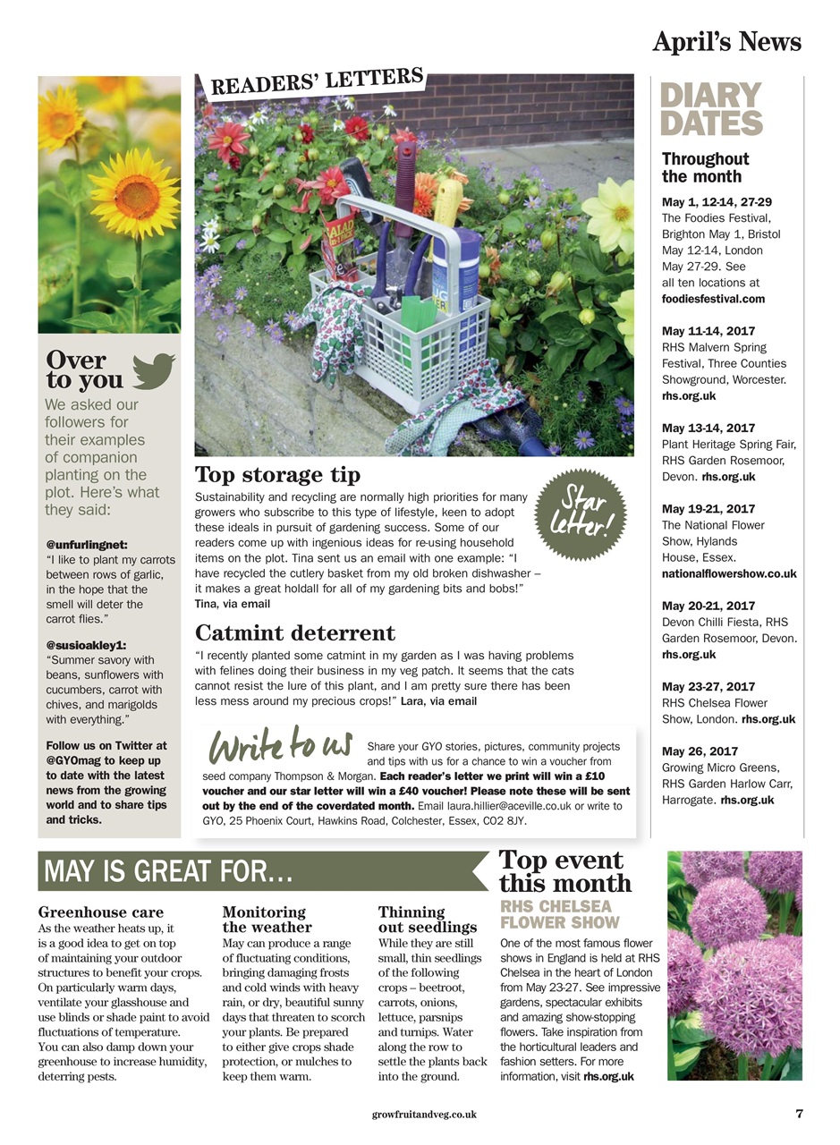Grow Your Own Preview Pages