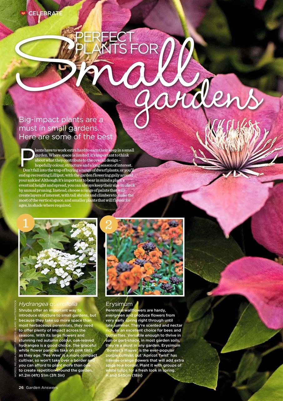 Garden Answers Preview Pages