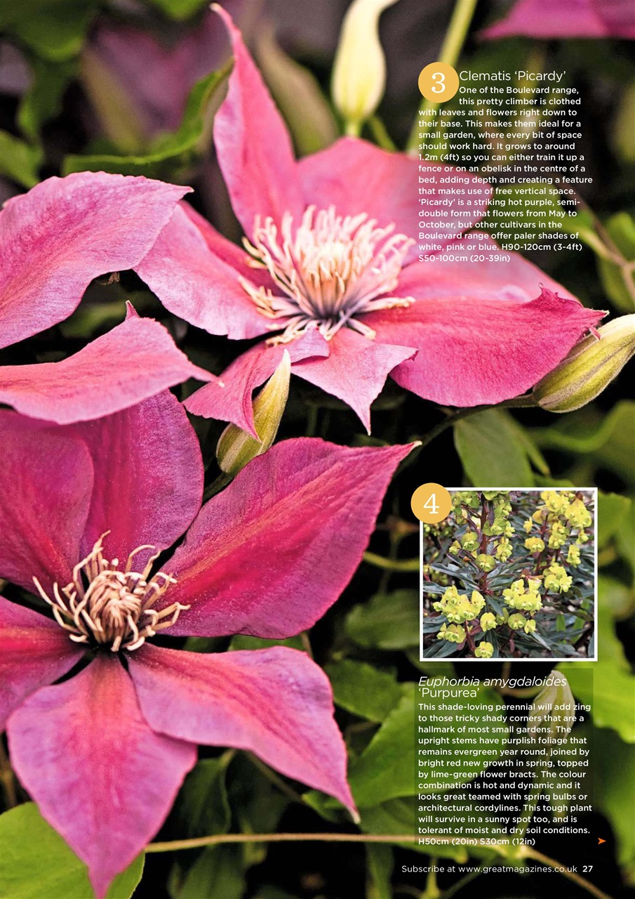 Garden Answers Preview Pages