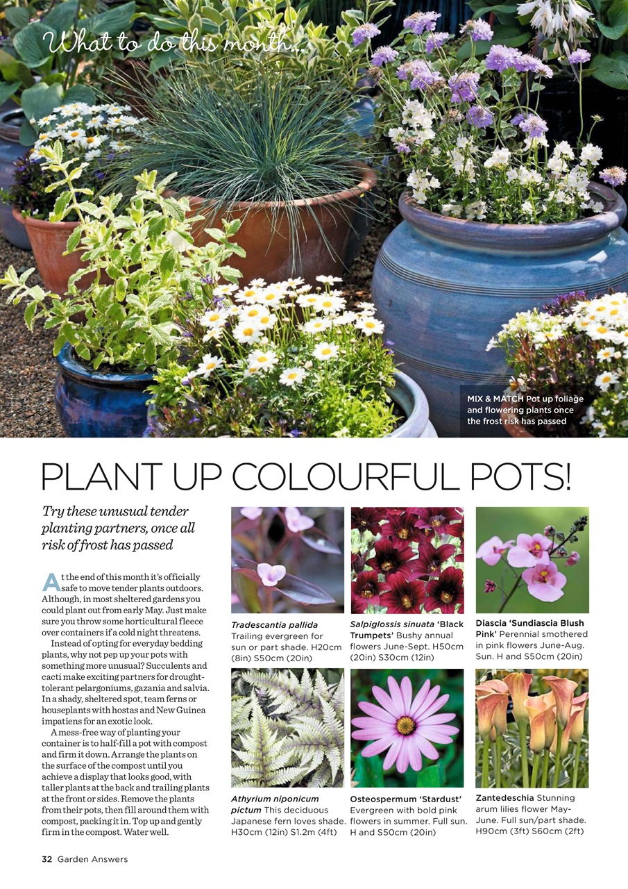 Garden Answers Preview Pages