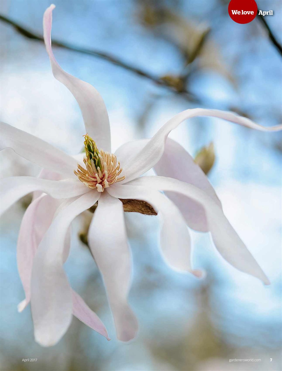 BBC Gardeners’ World Magazine Preview Pages