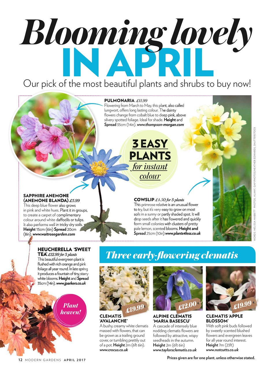 Modern Gardens Preview Pages