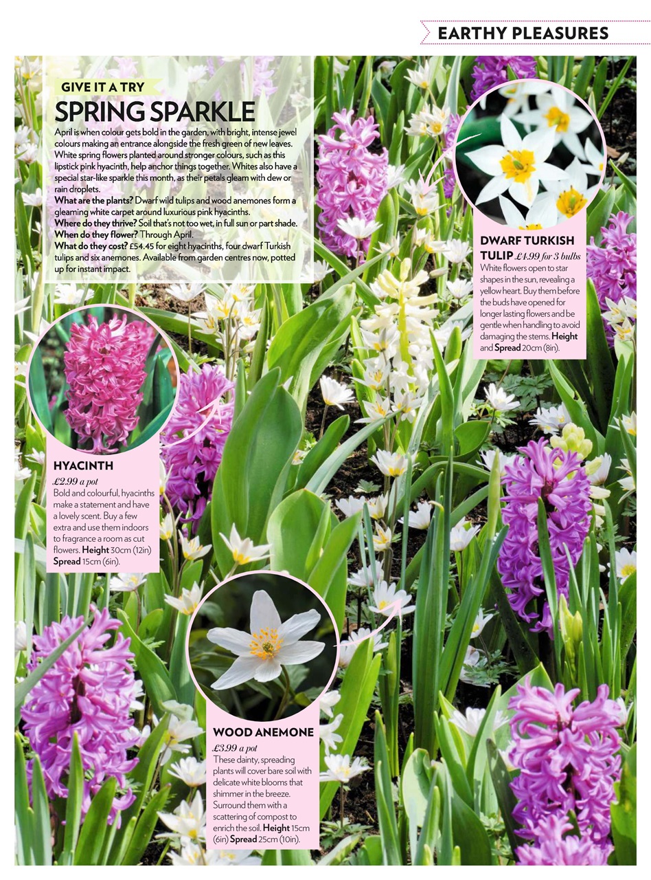 Modern Gardens Preview Pages