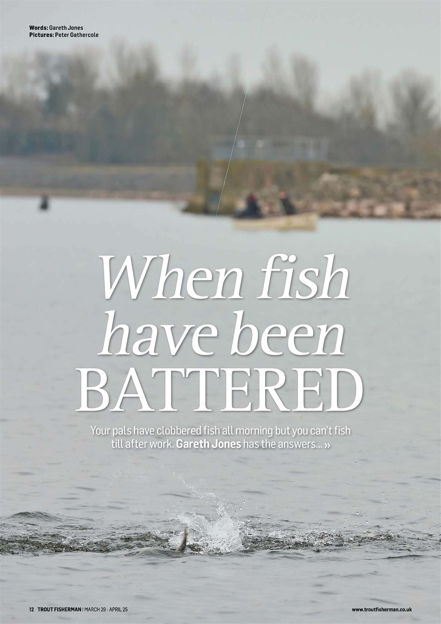 Trout Fisherman Preview Pages