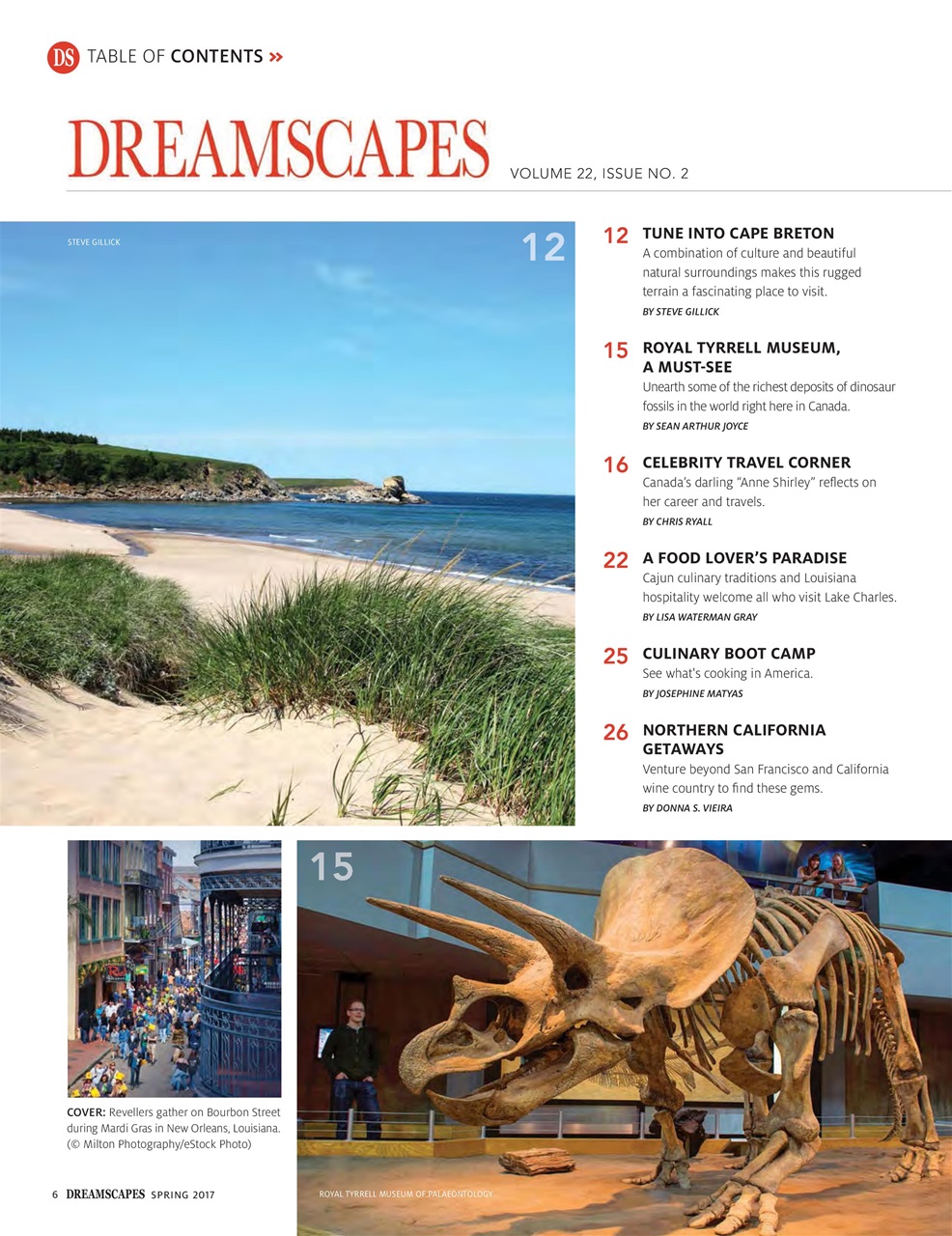 Dreamscapes Preview Pages