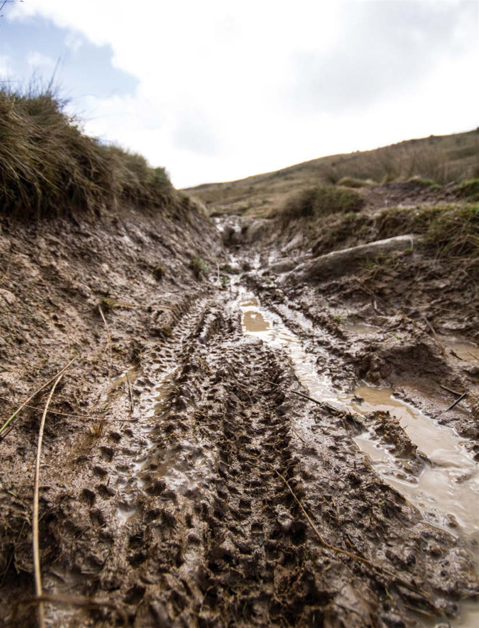 Singletrack Preview Pages