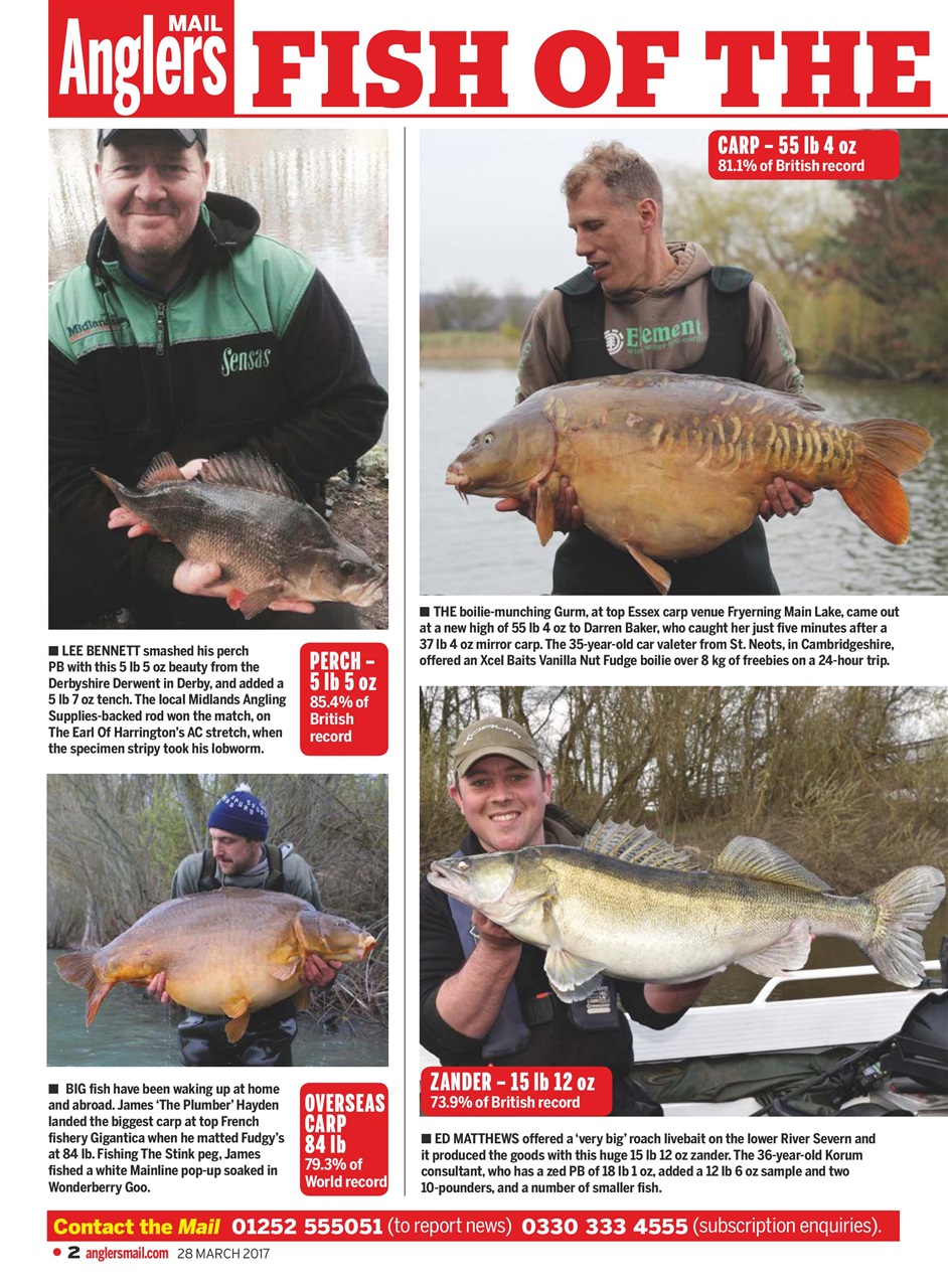Anglers Mail Preview Pages