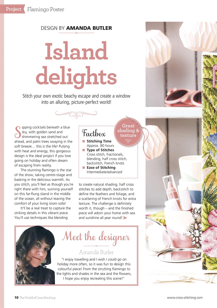 The World of Cross Stitching Preview Pages