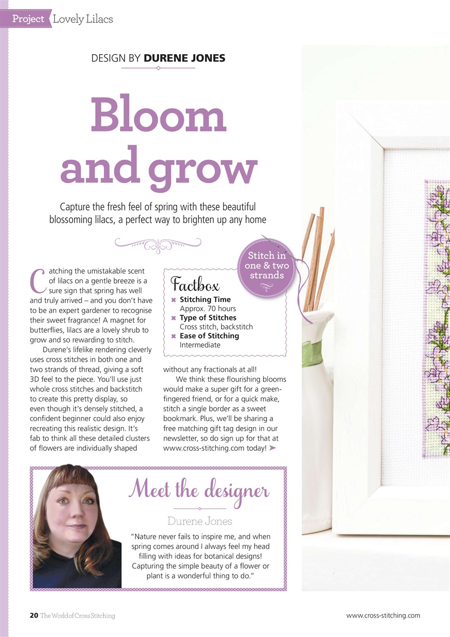 The World of Cross Stitching Preview Pages