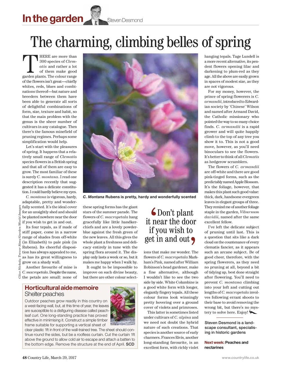 Country Life Preview Pages