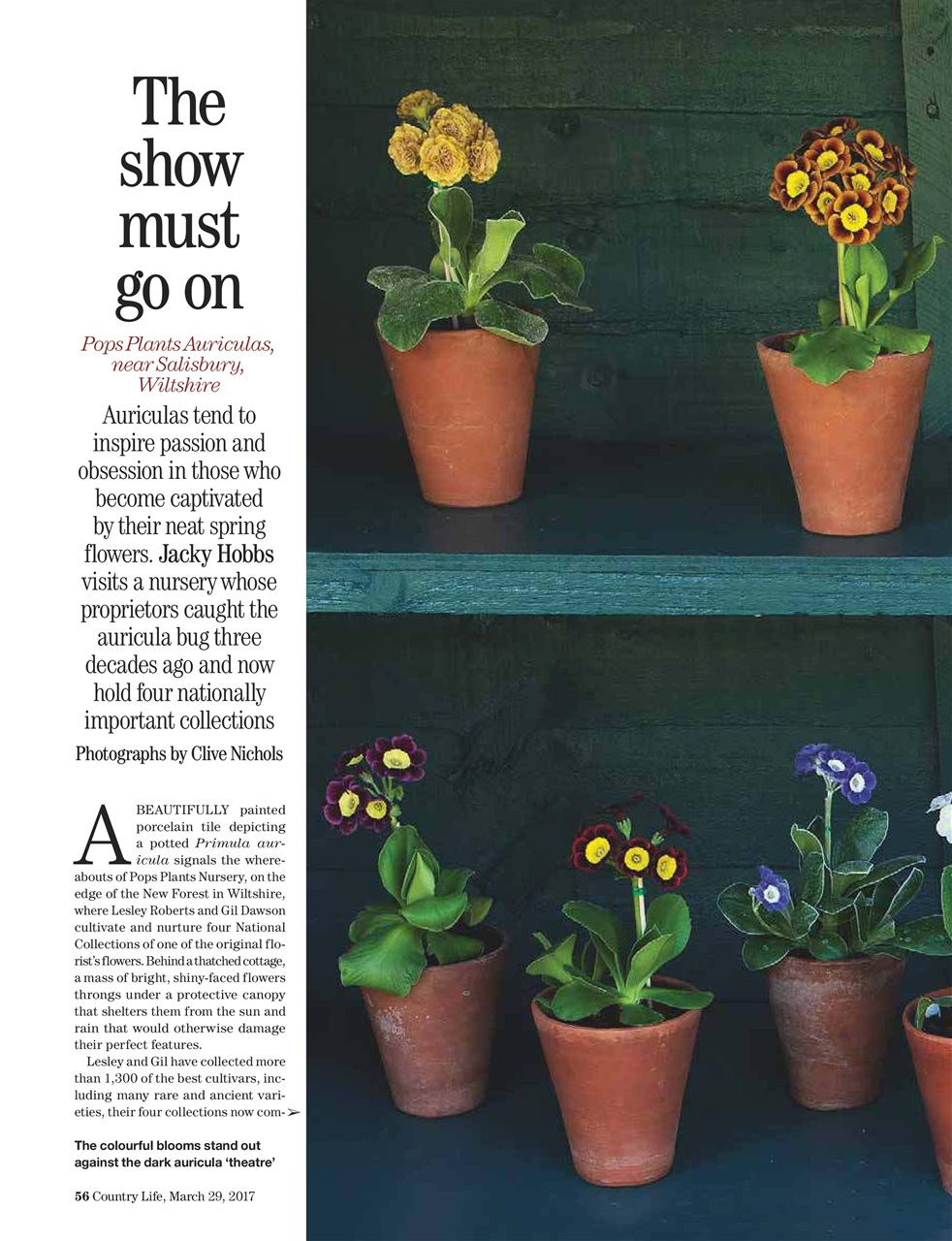 Country Life Preview Pages